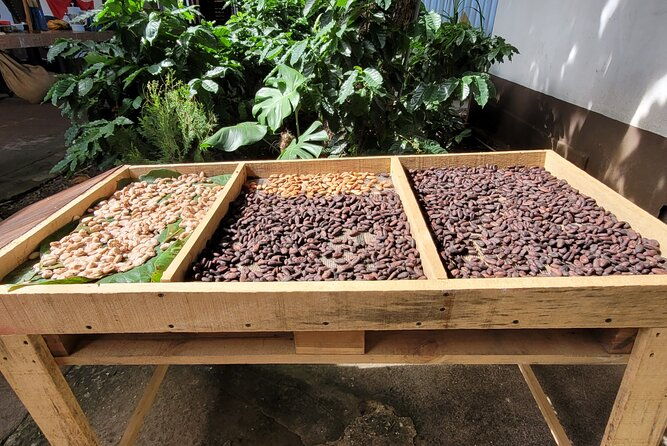 3-hour-coffee-and-chocolate-tour-in-playas-del-coco