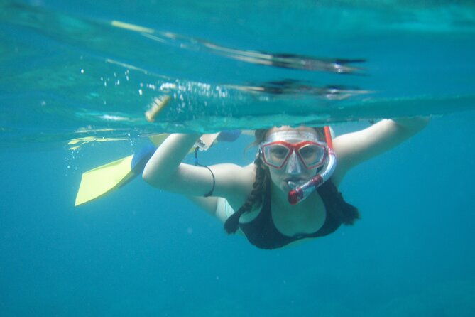 3-hour-cruise-swimming-excursion-off-peanut-island-park