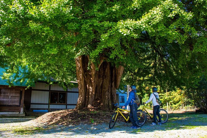 3-hour-cycling-tour-in-kakunodate