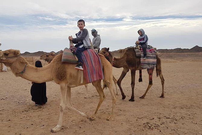 3-Hour Desert Safari Quad Bike and Camel Ride - FAQs