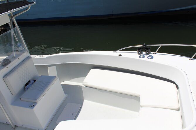 3 Hour Dolphin Tour and Snorkeling in Shell Island - Key Points