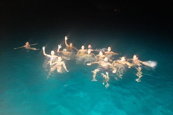 3-Hour Dolphin watching at sunset with aperitif - What We Love About This Tour