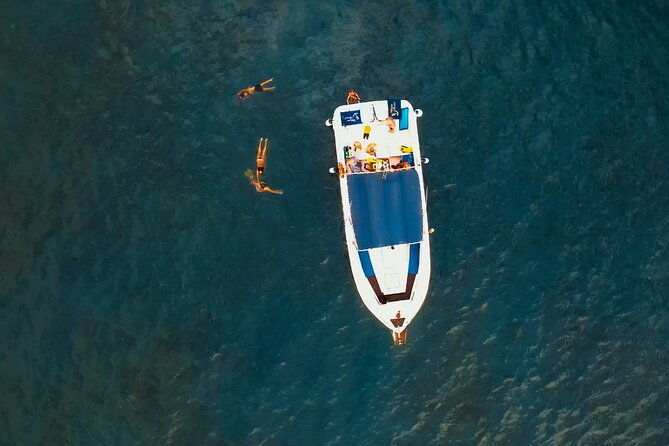 3-hour-excursion-to-puerto-colon-adeje-to-see-whales