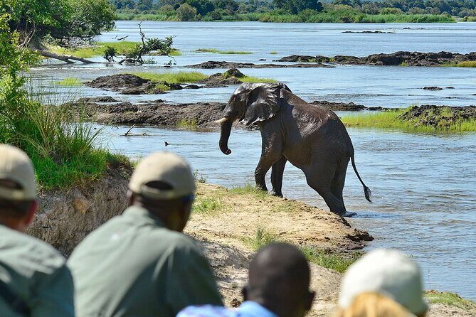 3 Hour Game Drive in Mosi-Oa-Tunya National Park - The Sum Up