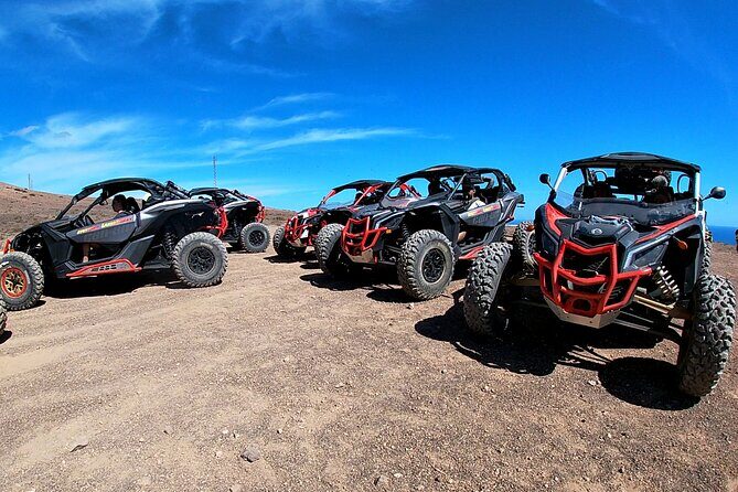 3 Hour Guided Buggy Tour Around the Island of Lanzarote - Who Will Love This Experience?