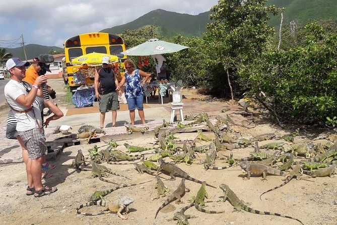 3-hour-guided-jeep-tour-island-highlights-and-1-hour-relax-by-beach