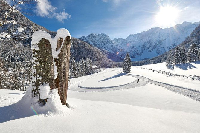 3-hour-guided-snowshoeing-adventure-in-the-slovenian-alps