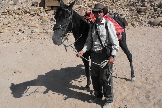 3 Hour Horse Riding Adventure around the Petra Area - Discovering the Petra Horse Riding Tour