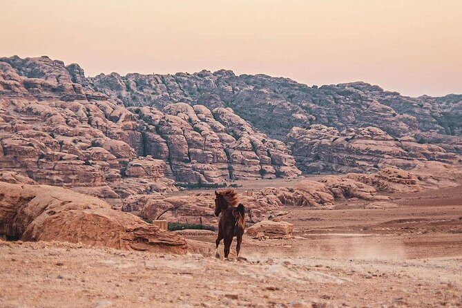 3 Hour Horse Riding Adventure around the Petra Area - The Sum Up