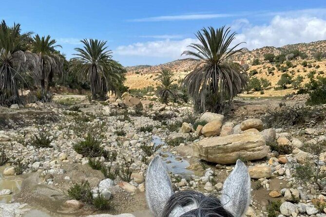 3-hour Horseback Ride Mountain and Beach Morocco - The Itinerary in Detail