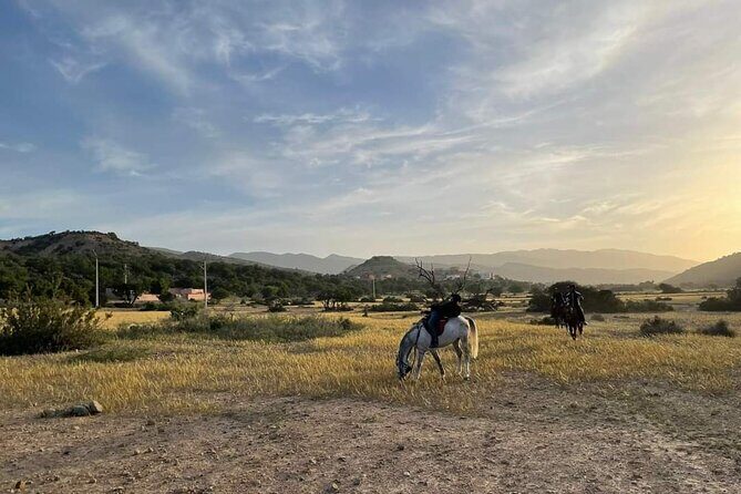 3-hour Horseback Ride Mountain and Beach Morocco - The Value of the Experience