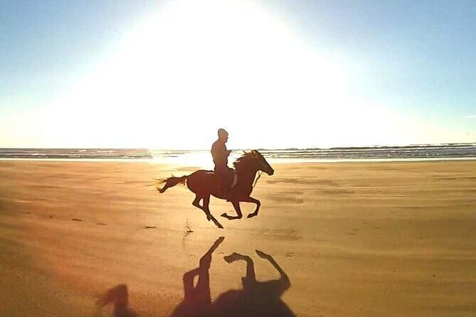 3-hour Horseback Ride Mountain and Beach Morocco - FAQ