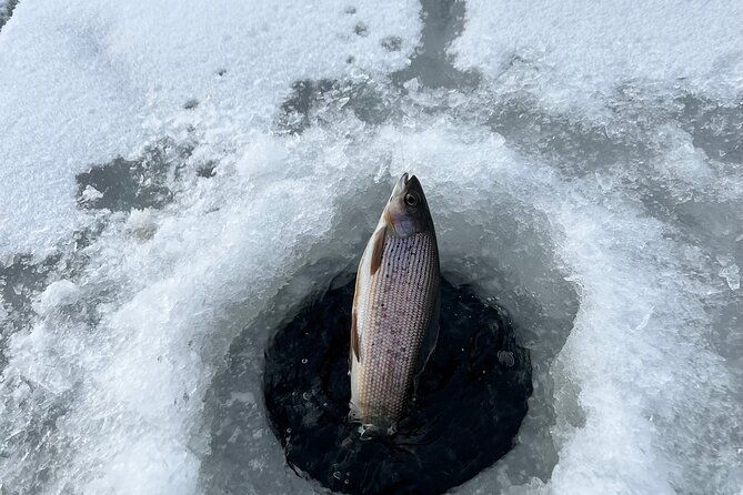 3-hour-ice-fishing-experience