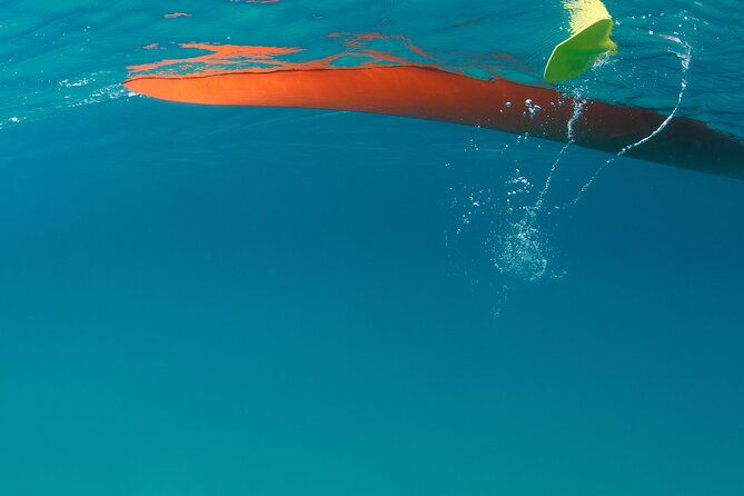3-hour-kayak-and-snorkel-with-turtles