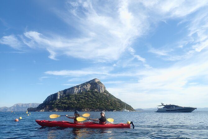 3-Hour Kayak Tour at Capo Figari (Golfo Aranci) - Key Points