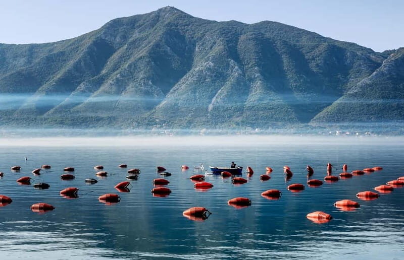3-Hour Kotor Bay Cruise: Perast, Rocks & Mussel Farm Visit - Practical Details and What They Mean for You