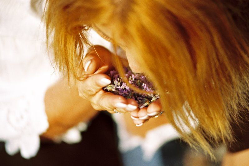 3-hour-lavender-tour-from-hvar