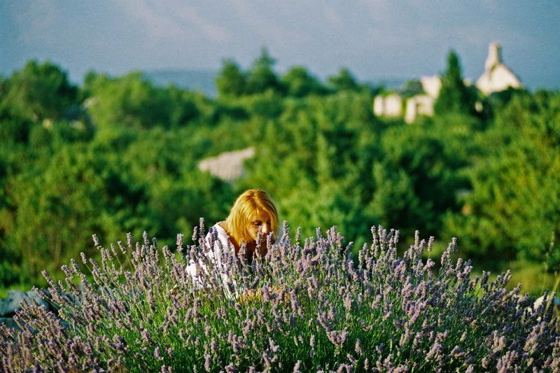 3-hour-lavender-tour-from-hvar
