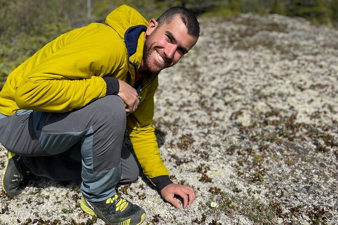3-hour-naturalist-walking-tour-in-denali-national-park
