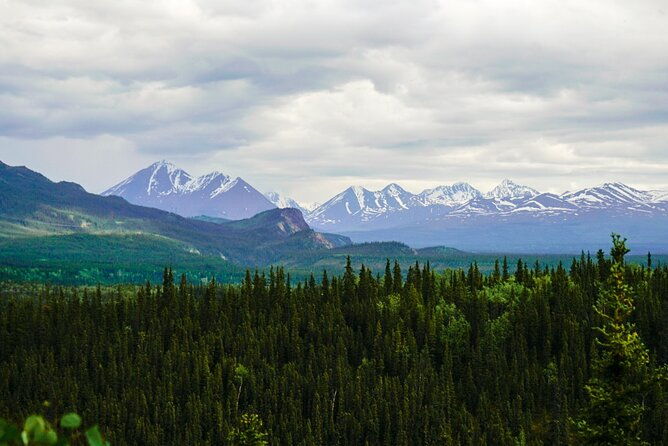 3-hour-naturalist-walking-tour-in-denali-national-park
