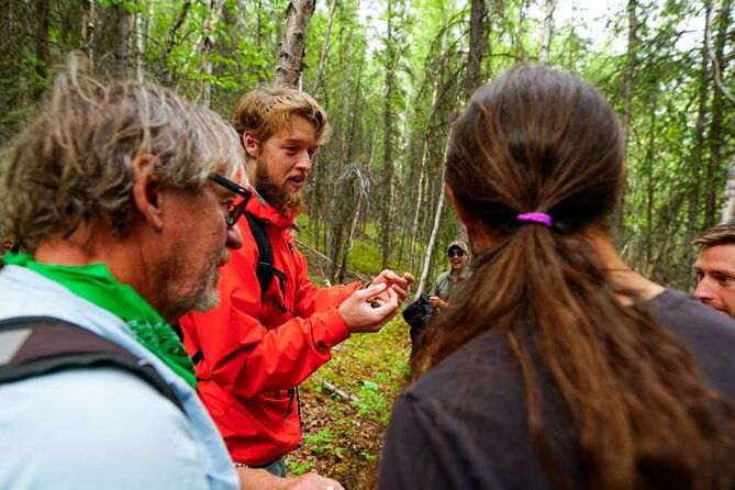3-hour-naturalist-walking-tour-in-denali-national-park