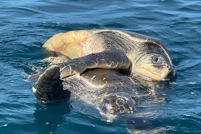 3-hour-ocean-kayak-fishing-adventure