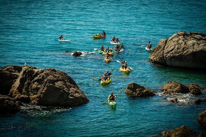 3 Hour of Sea Kayak Trip in the Creeks of Sete - Practical Tips for the Trip