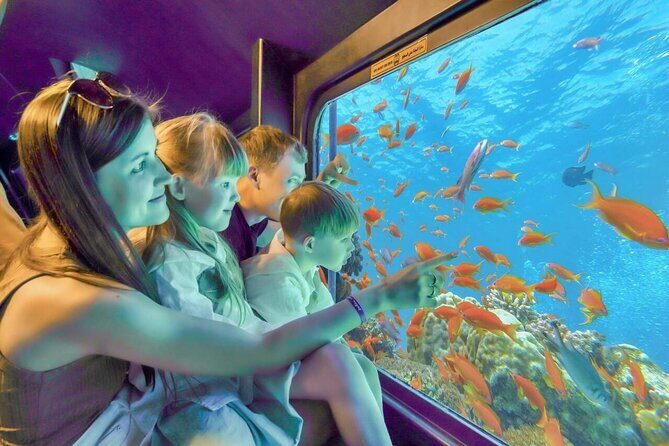 3 Hour Panorama by Semi Submarine Cruise w/ Transfer in Hurghada - Final Thoughts