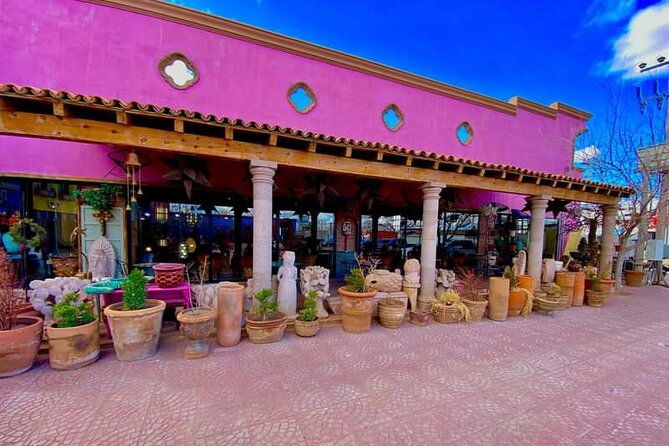 3-hour-pink-store-lunch-and-area-shopping-in-palomas-mexico