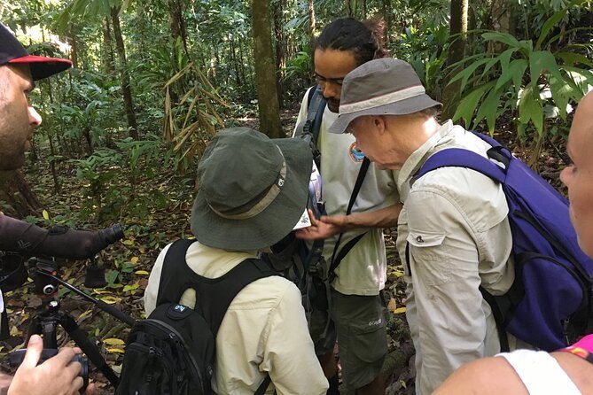 3-hour-private-birdwatching-experience-in-uvita-ojochal