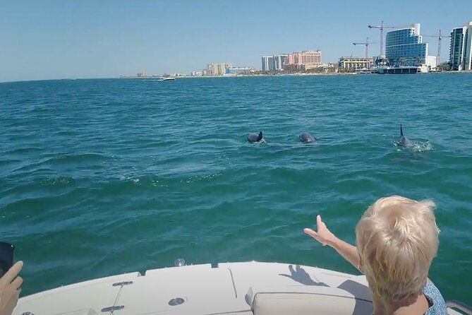 3-hour-private-boat-tour-in-clearwater-florida-up-to-6-people