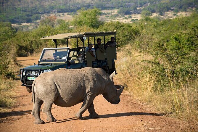 3-Hour Private Game Drive in Pilanesberg National Park - Who Should Book This Tour?