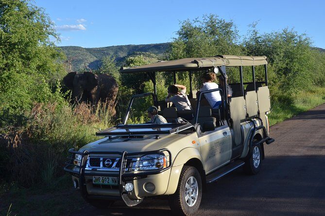 3-Hour Private Game Drive of Pilanesberg National Park - Why This Tour Is a Great Fit