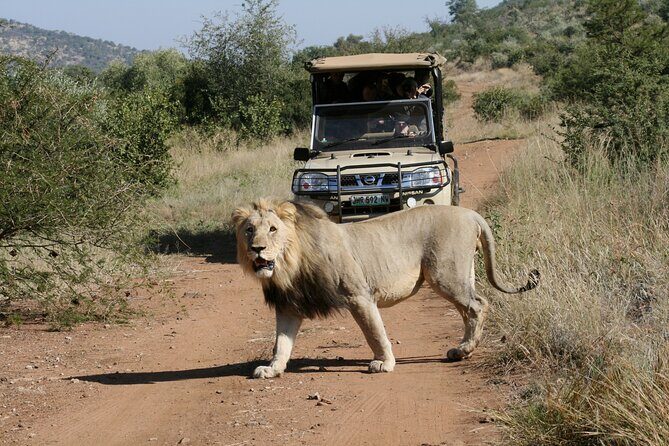 3-Hour Private Game Drive of Pilanesberg National Park - FAQs