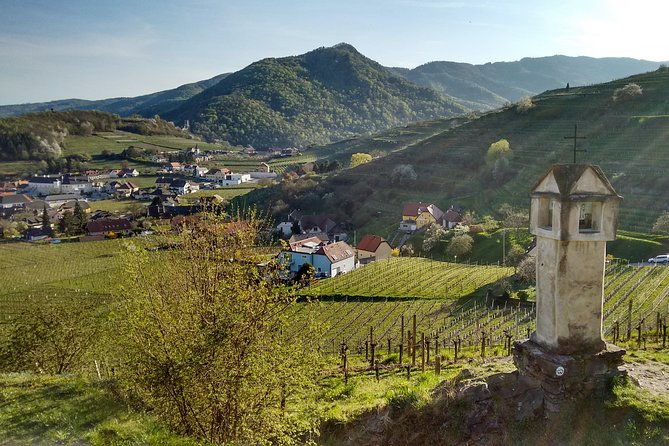 3-hour-private-hiking-tour-to-historic-places-around-spitz-in-wachau-valley