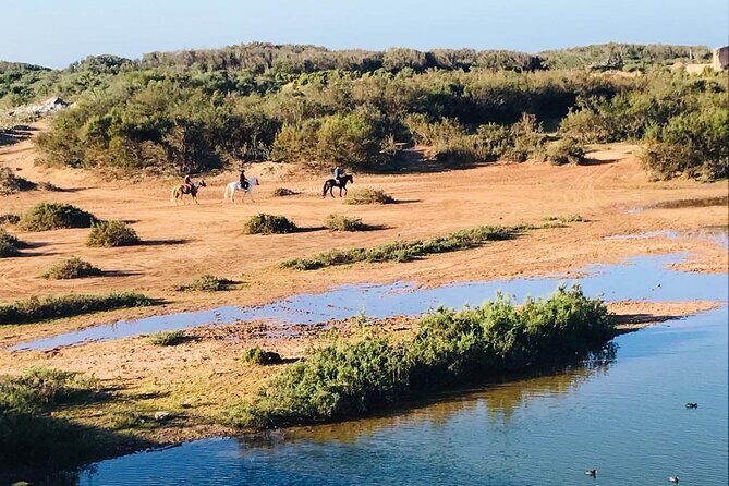 3-hour Private Ride between beach and dunes - An In-Depth Look at the 3-Hour Horseback Experience