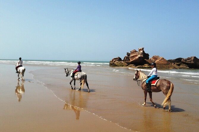3-hour Private Ride between beach and dunes - FAQ