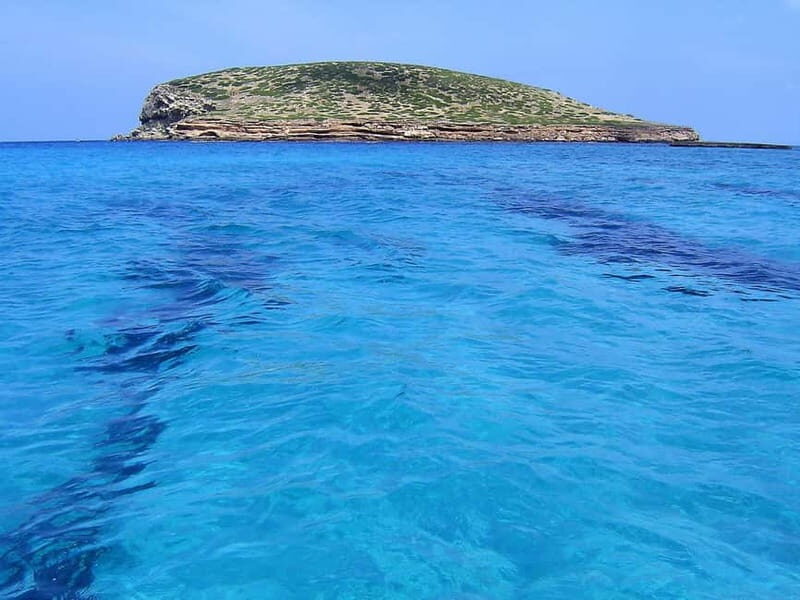 3-Hour Private Sunset Snorkel Boat for Large Groups - Practicalities and Tips for Travelers