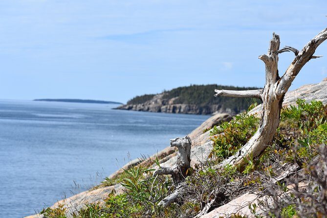 3 Hour Private Tour: Explore all the top spots of Acadia! - Comfort and Practical Details