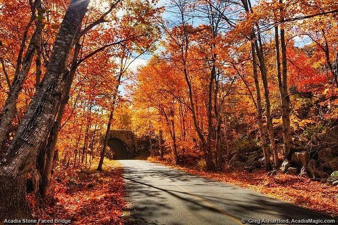 3 Hour Private Tour: Explore all the top spots of Acadia! - Tips for Making the Most of Your Tour