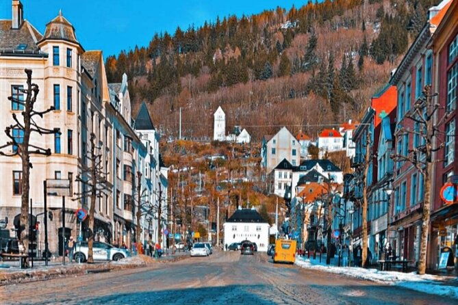 3-hour-private-tour-hiked-through-the-bergen-mountains