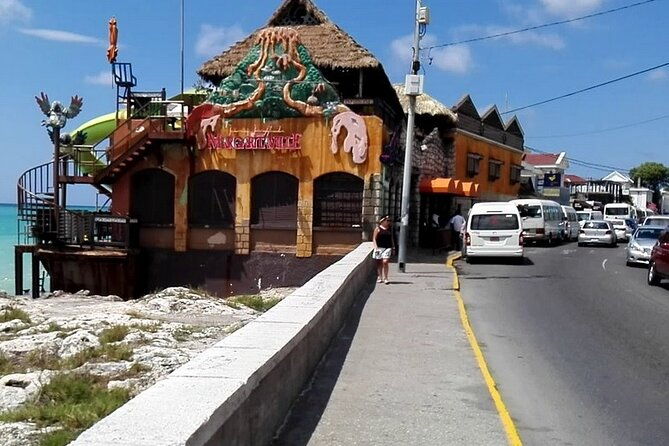 3-hour-private-tour-in-the-highlights-of-montego-bay