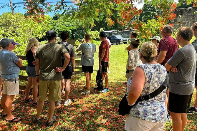 3-hour-private-tour-of-st-kitts-local-experience-up-to-5-persons