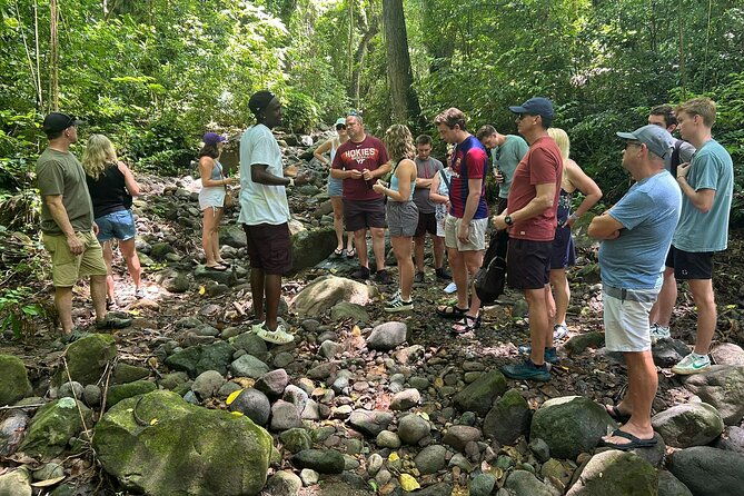 3-hour-private-tour-of-st-kitts-local-experience-up-to-5-persons