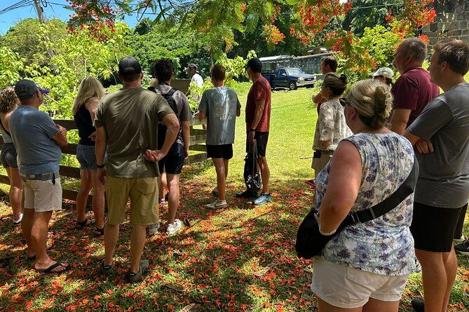 3-hour-private-tour-of-st-kitts-local-experience-up-to-5-persons