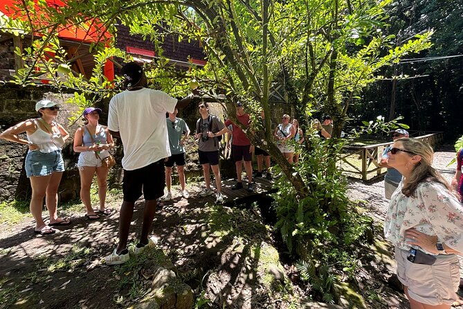 3-hour-private-tour-of-st-kitts-local-experience-up-to-5-persons