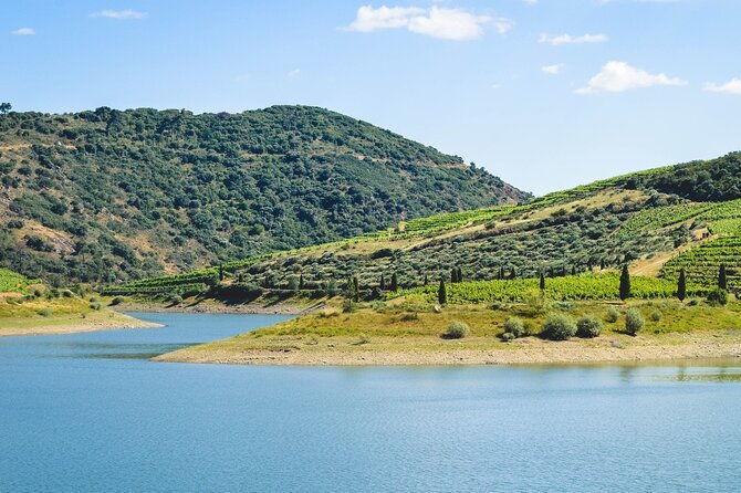 3-hour-private-wine-tasting-in-quinta-da-vineadouro-with-lunch