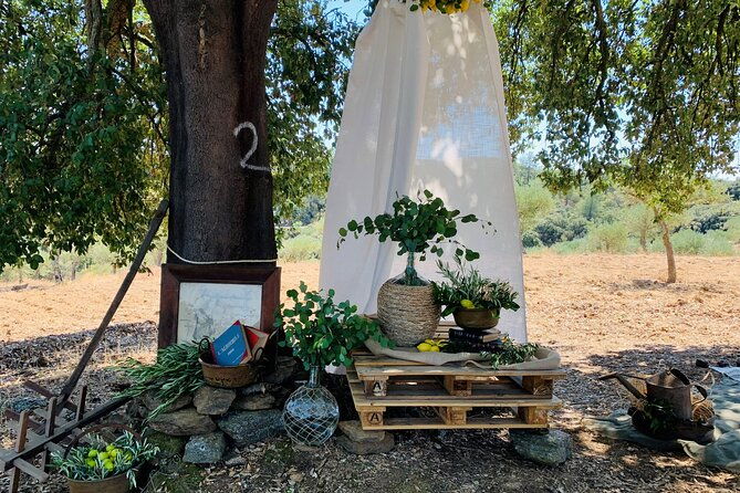 3-hour-private-wine-tasting-in-quinta-da-vineadouro-with-lunch