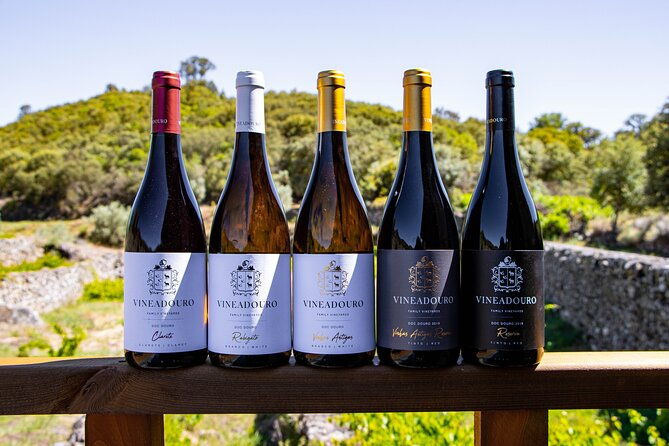 3-hour-private-wine-tasting-in-quinta-da-vineadouro-with-lunch