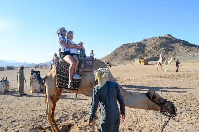3 Hour Quad Biking Bedouin Village and Camels in Hurghada - Who Should Consider This Tour?